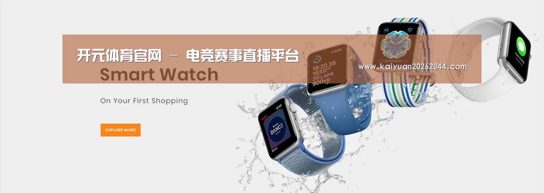 某某网络科技有限公司