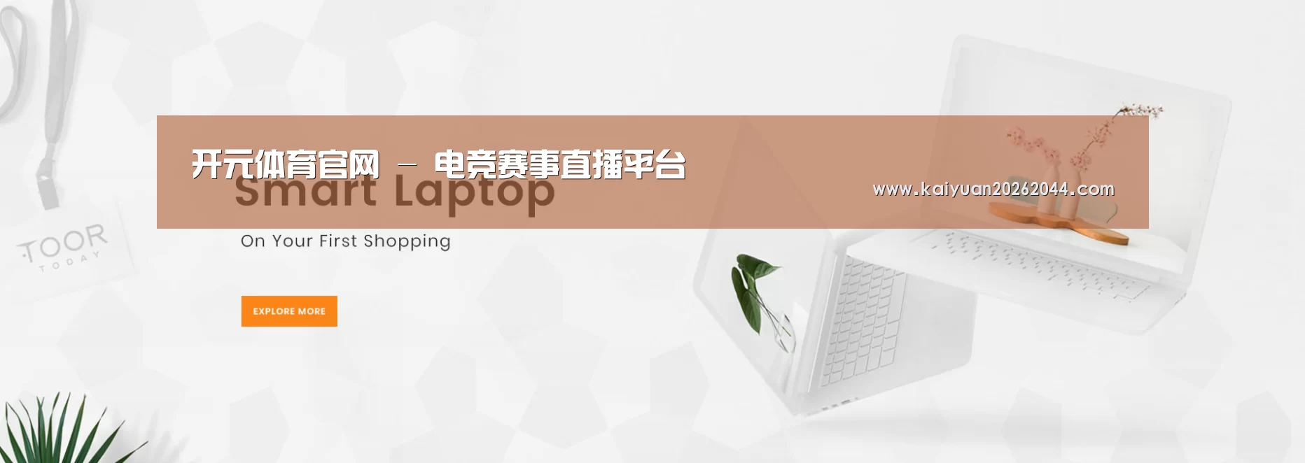 某某网络科技有限公司