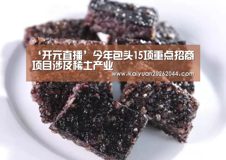 ‘开元直播’今年包头15项重点招商项目涉及稀土产业(图1) 开元下载