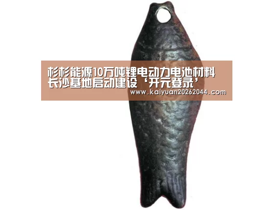 杉杉能源10万吨锂电动力电池材料长沙基地启动建设‘开元登录’(图3) 开元直播