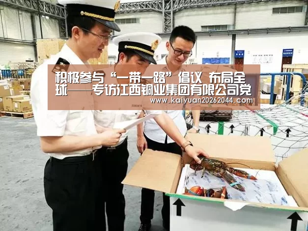 积极参与“一带一路”倡议 布局全球——专访江西铜业集团有限公司党委书记、董事长龙子平【开元体育】(图4) 开元登录