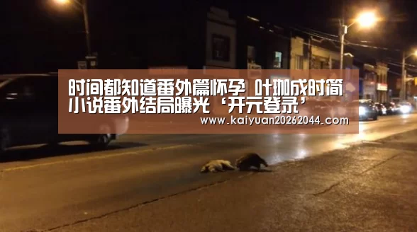 时间都知道番外篇怀孕 叶珈成时简小说番外结局曝光‘开元登录’(图1) 开元登录